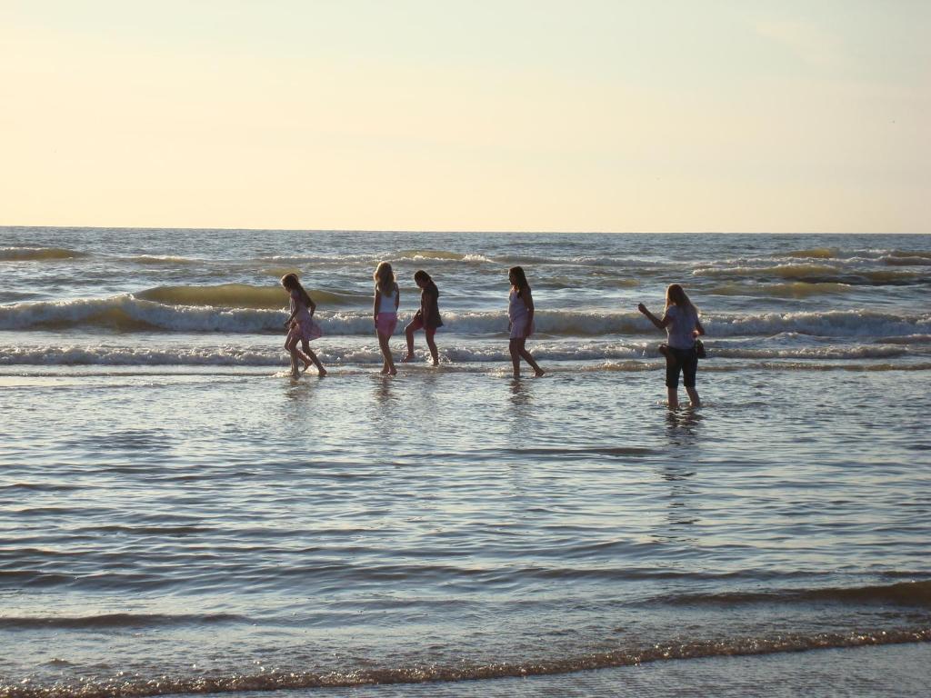 Hotel Rasch Bergen aan Zee Zewnętrze zdjęcie